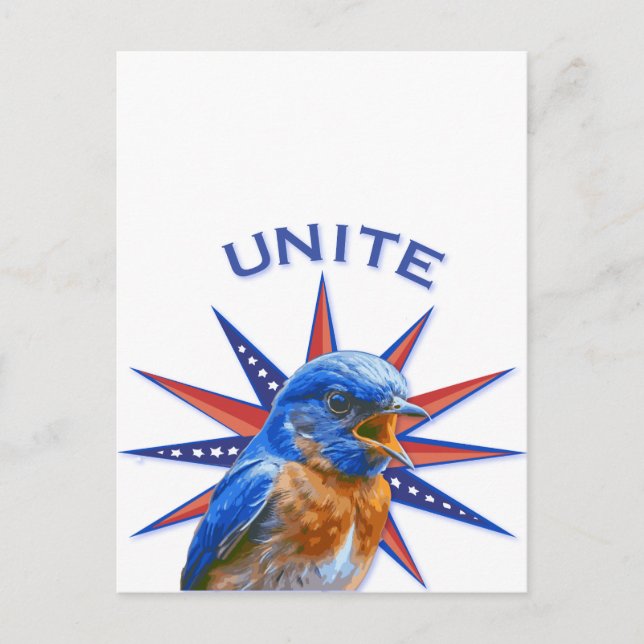 Bluebirds UNITE Postcard Postkarte (Vorderseite)