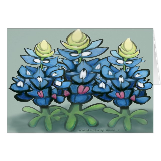 Bluebonnet (Vorderseite (Horizontal))
