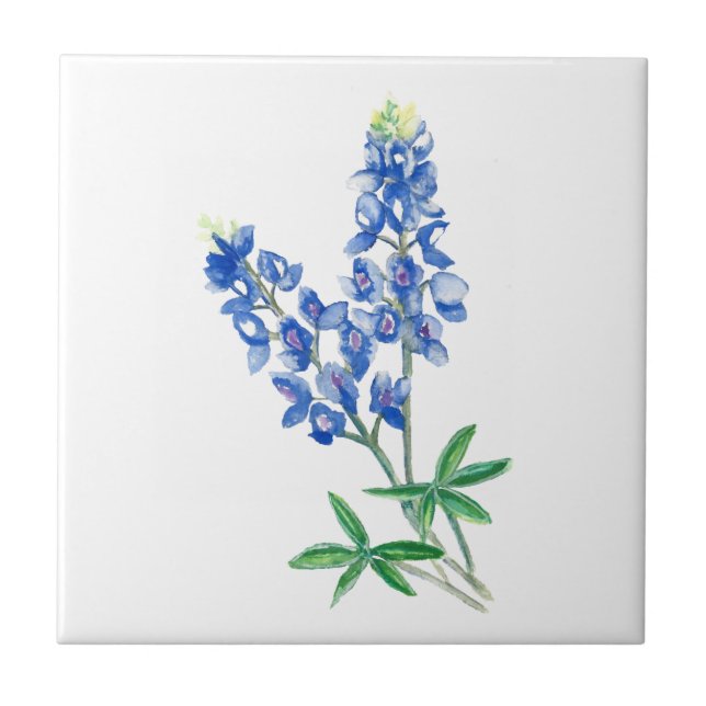 Bluebonnet 3 fliese (Vorderseite)