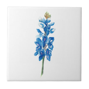 Bluebonnet 5 fliese