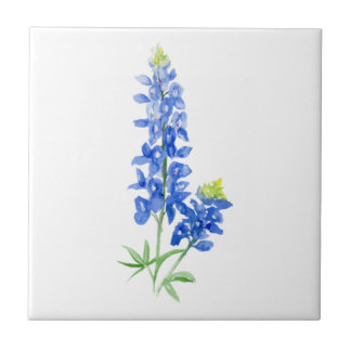 Bluebonnet 7 fliese