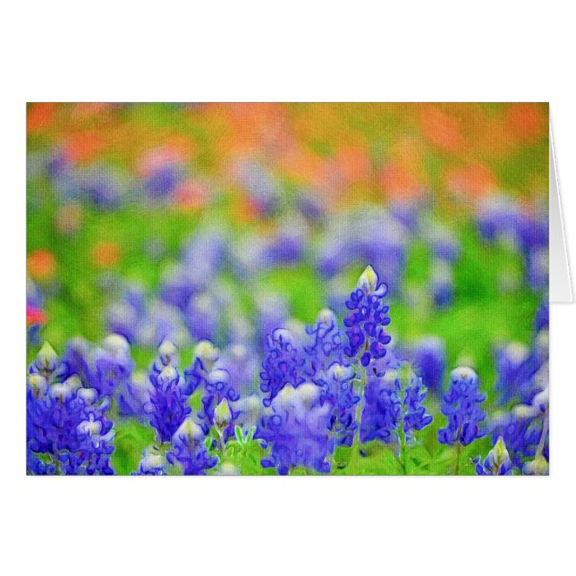 Bluebonnet auf Leinwand (Vorderseite (Horizontal))