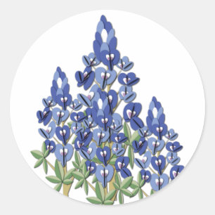Bluebonnet-Aufkleber Runder Aufkleber