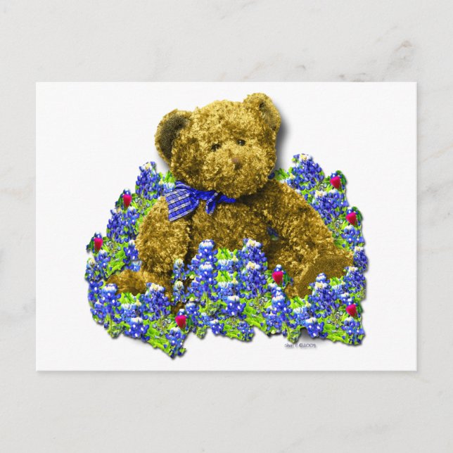 Bluebonnet Bear Postcard Postkarte (Vorderseite)