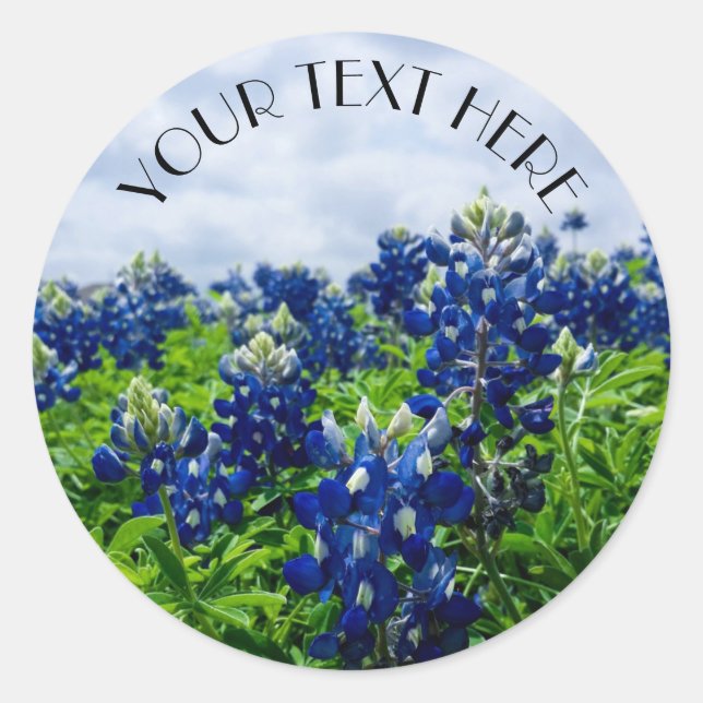 Bluebonnet Blue Blume Texas texan Floral Runder Aufkleber (Vorderseite)