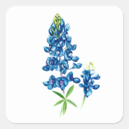 Bluebonnet-Blume Quadratischer Aufkleber