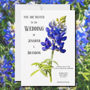 Bluebonnet-Blumen auf Weiß, Hochzeitseinladung Einladung