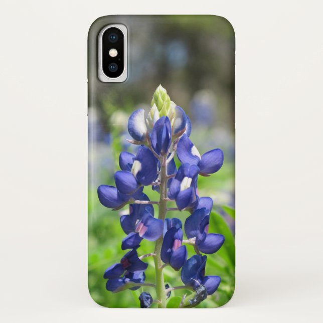 Bluebonnet Case-Mate iPhone Hülle (Rückseite)