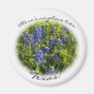 Bluebonnet "Es gibt keinen Platz wie Texas" Magnet