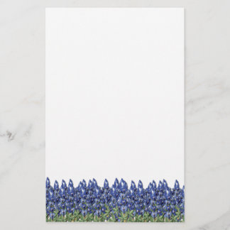 Bluebonnet-Feld-Briefpapier Briefpapier