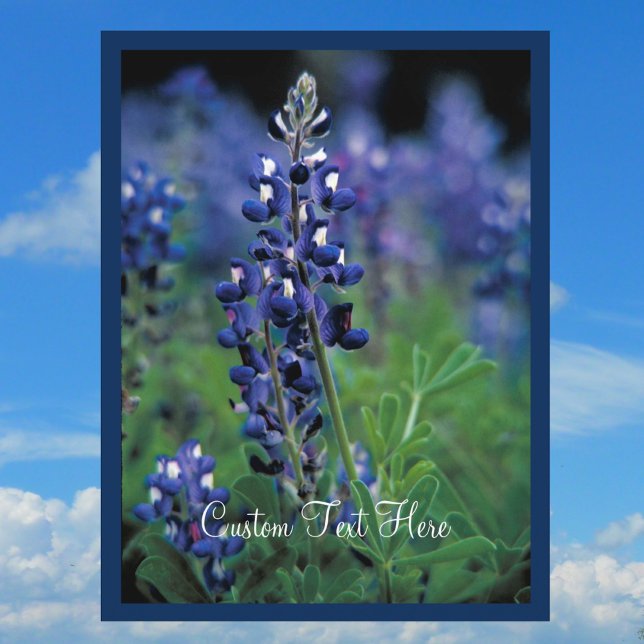 Bluebonnet Field Blue Blume Texas Staat Postkarte (Von Creator hochgeladen)