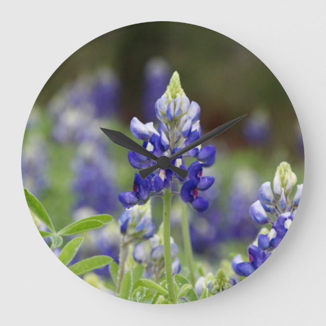 Bluebonnet Field Round Clock Große Wanduhr (Vorderseite)