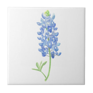Bluebonnet Fliese