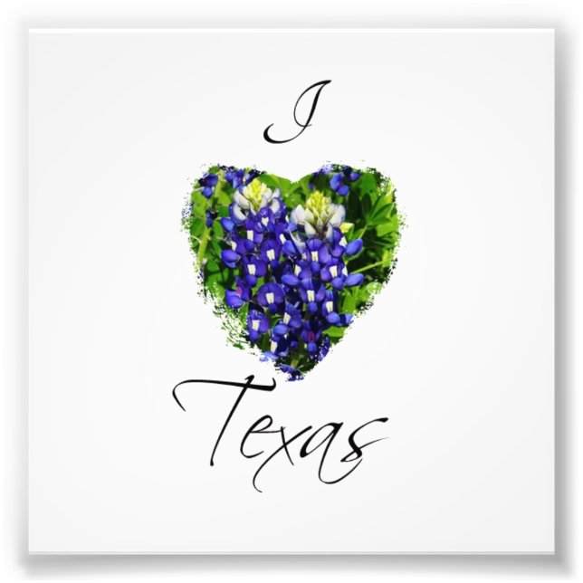 Bluebonnet "I heart Texas" Square Fotodruck (Vorne)