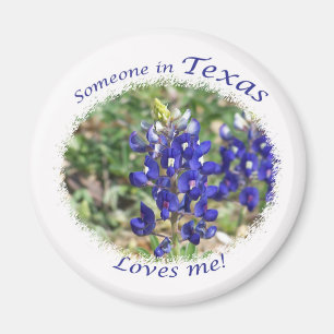 Bluebonnet Jemand in Texas Lieben Me Magnet