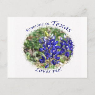Bluebonnet "Jemand in Texas Lieben Me" Postkarte
