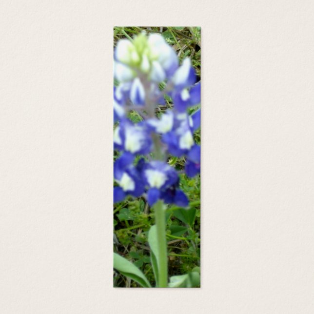 Bluebonnet-Lesezeichen (Vorderseite)