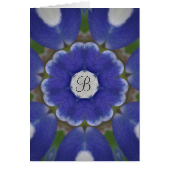 Bluebonnet Monogram (Vorne)