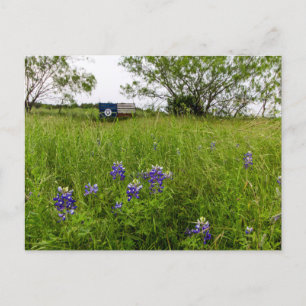 Bluebonnet Park, Ennis, Texas Postkarte