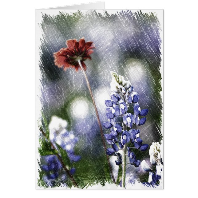 Bluebonnet-Skizze (Vorne)