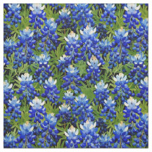 Bluebonnet