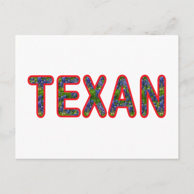 Bluebonnet Texan Postkarte (Vorderseite)