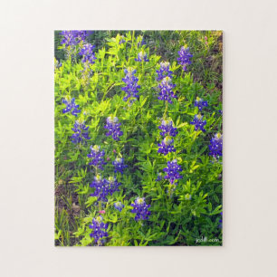 Bluebonnet Texas Blume Landschaftliches Foto Puzzle