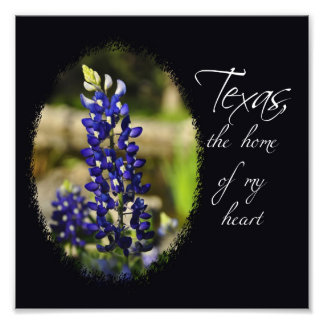 Bluebonnet "Texas, the Zuhause of My Heart" Print Fotodruck