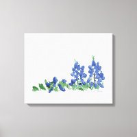 Bluebonnet Wilde Blume, Texas-Blume