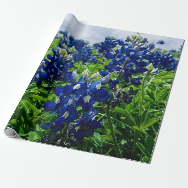 Bluebonnets Blue Floral Texas Texan Elegant Geschenkpapier (Ungerollt)