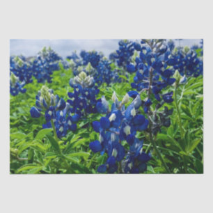 Bluebonnets Blue Floral Texas Texan Elegant Seidenpapier