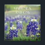 Bluebonnets Blue Flowers Texas Floral Wedding Magnet<br><div class="desc">Bluebonnets,  blaue Blumen,  Texas,  einstündiger Staat Wedding Magnet. Perfekt zum Geburtstag,  für sie.</div>