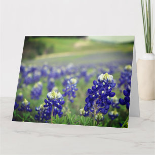 Bluebonnets Blue Flowers Texas Texan Floral Dankeskarte