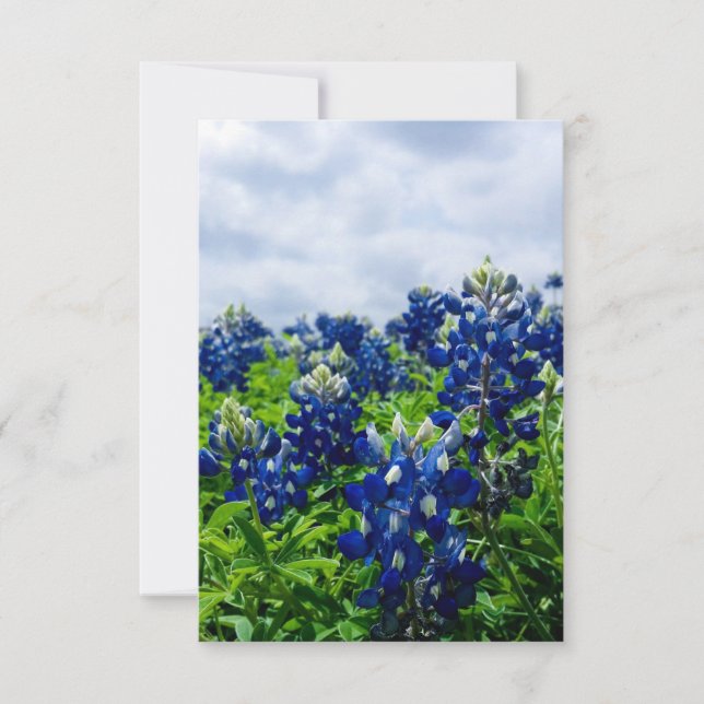 Bluebonnets Blue Flowers Texas Texan Floral Dankeskarte (Vorderseite)