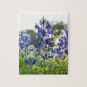 Bluebonnets Blue Flowers Texas Texan Floral Puzzle