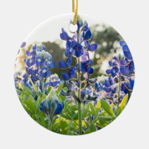 Bluebonnets Blue Flowers Texas Texan Lupine Keramik Ornament
