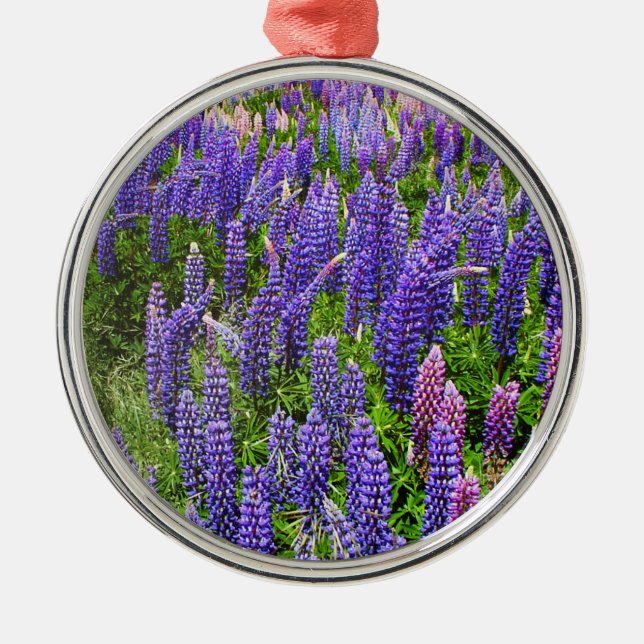 Bluebonnets Blue Flowers Texas Texan Lupine Ornament Aus Metall (Vorne)