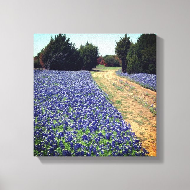 Bluebonnets Dirt Road Print Leinwanddruck (Vorderseite)