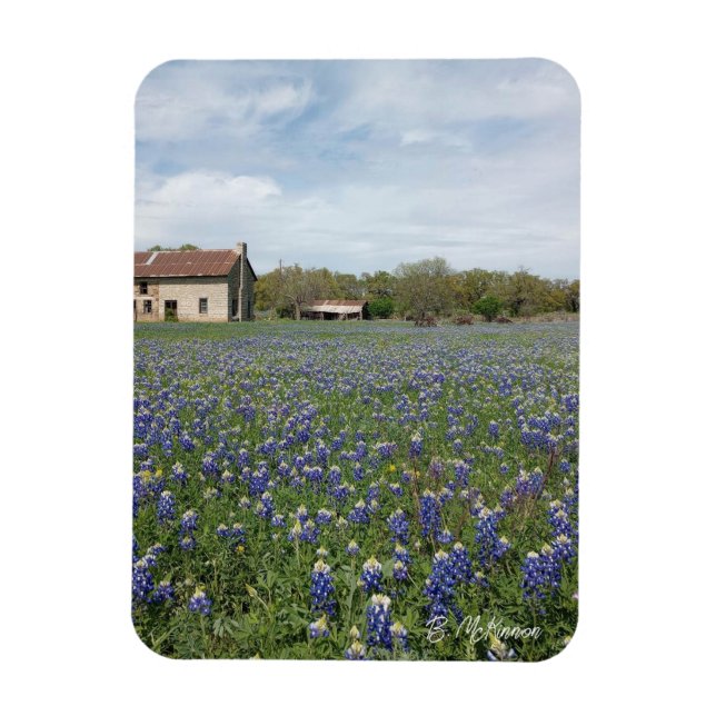 Bluebonnets Famous Texas House Magnet (Vertikal)