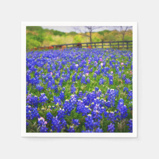 Bluebonnets in Texas Serviette