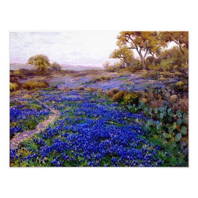 Bluebonnets in Twilight, nördlich von San Antonio Fotodruck (Vorne)