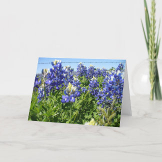 Bluebonnets Notecard Karte