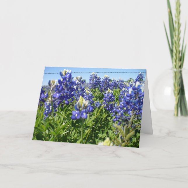 Bluebonnets Notecard Karte (Vorderseite)