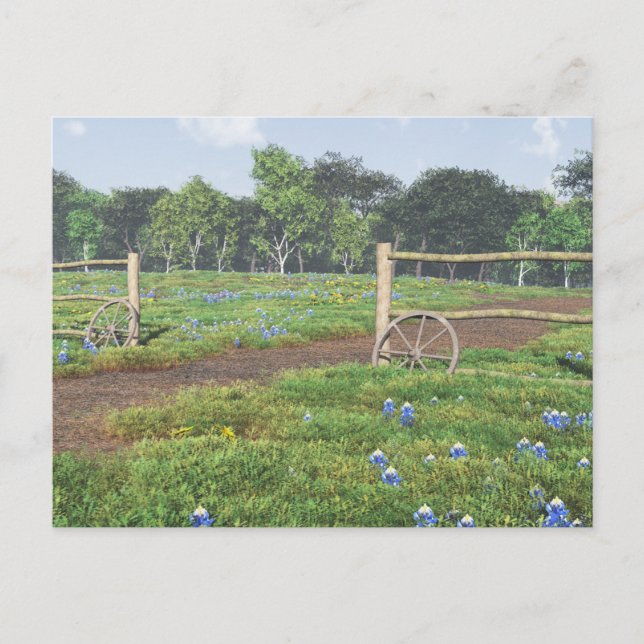 Bluebonnets Postkarte (Vorderseite)
