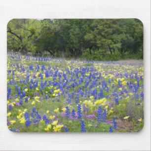 Bluebonnets, Primrose und Phlox Mousepad