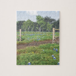 Bluebonnets Puzzle