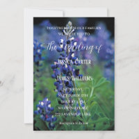 Bluebonnets Texas Blume Wildblume Hochzeit