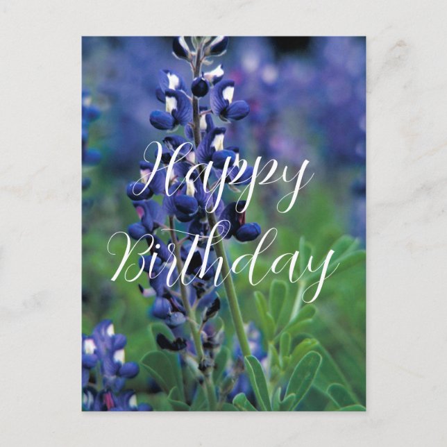 Bluebonnets Texas Staat Blume Blue Birthday Postkarte (Vorderseite)