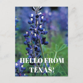 Bluebonnets Texas Staat Blume Blue Floral Lupine Postkarte