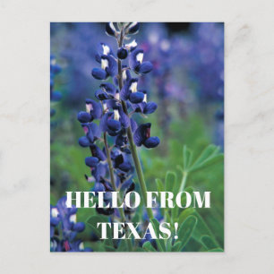 Bluebonnets Texas Staat Blume Blue Floral Lupine Postkarte